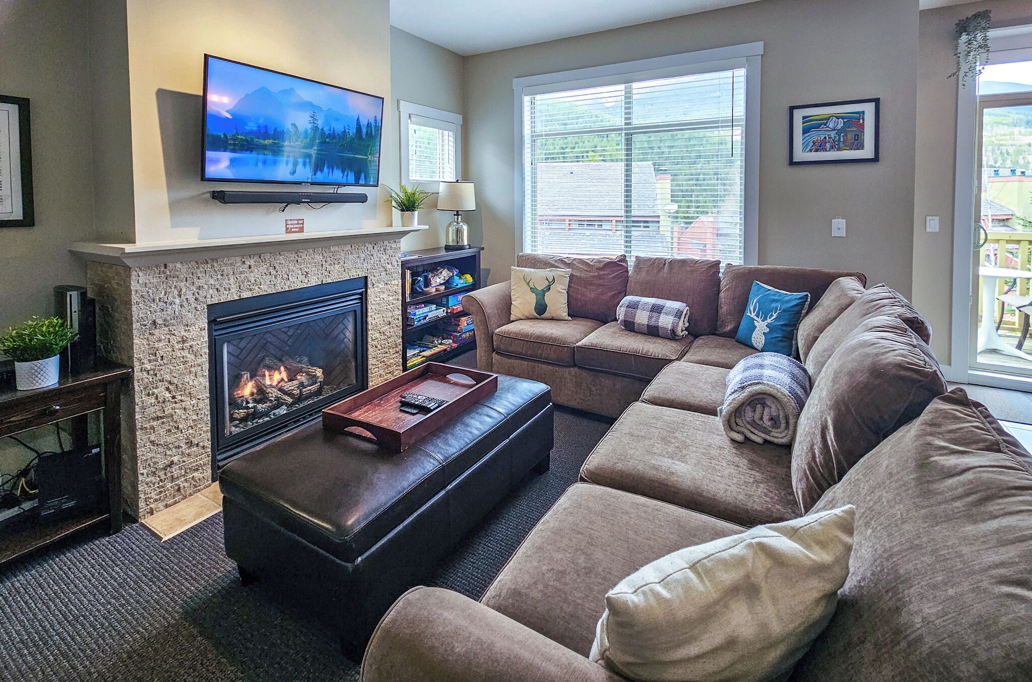 TV, fireplace