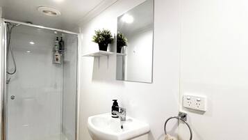 Shower, hair dryer, toilet paper