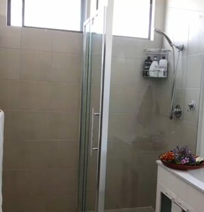 Ducha, secador de pelo y papel higiénico
