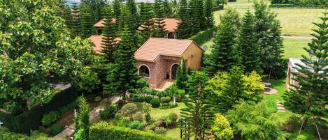 A small, rustic house surrounded by dense greenery and trees.