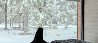 Arctic Nest