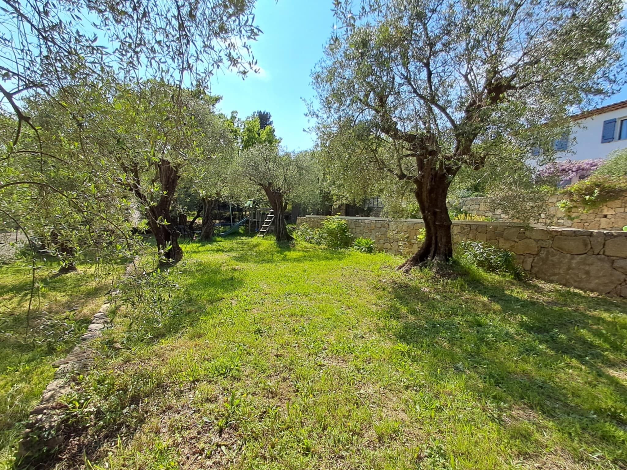 An outdoor area with trees, a stone wall, and a grassy path.