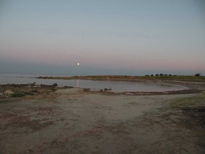 A natural landscape with a body of water, a crescent-shaped sandbank, and sparse vegetation.