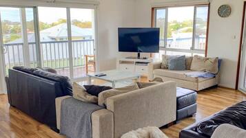 Smart TV, fireplace, books