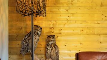 A cozy room with a wooden wall, two mounted owls, a brown leather sofa, and a unique light fixture.
