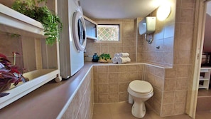 Shower, hair dryer, bidet, towels
