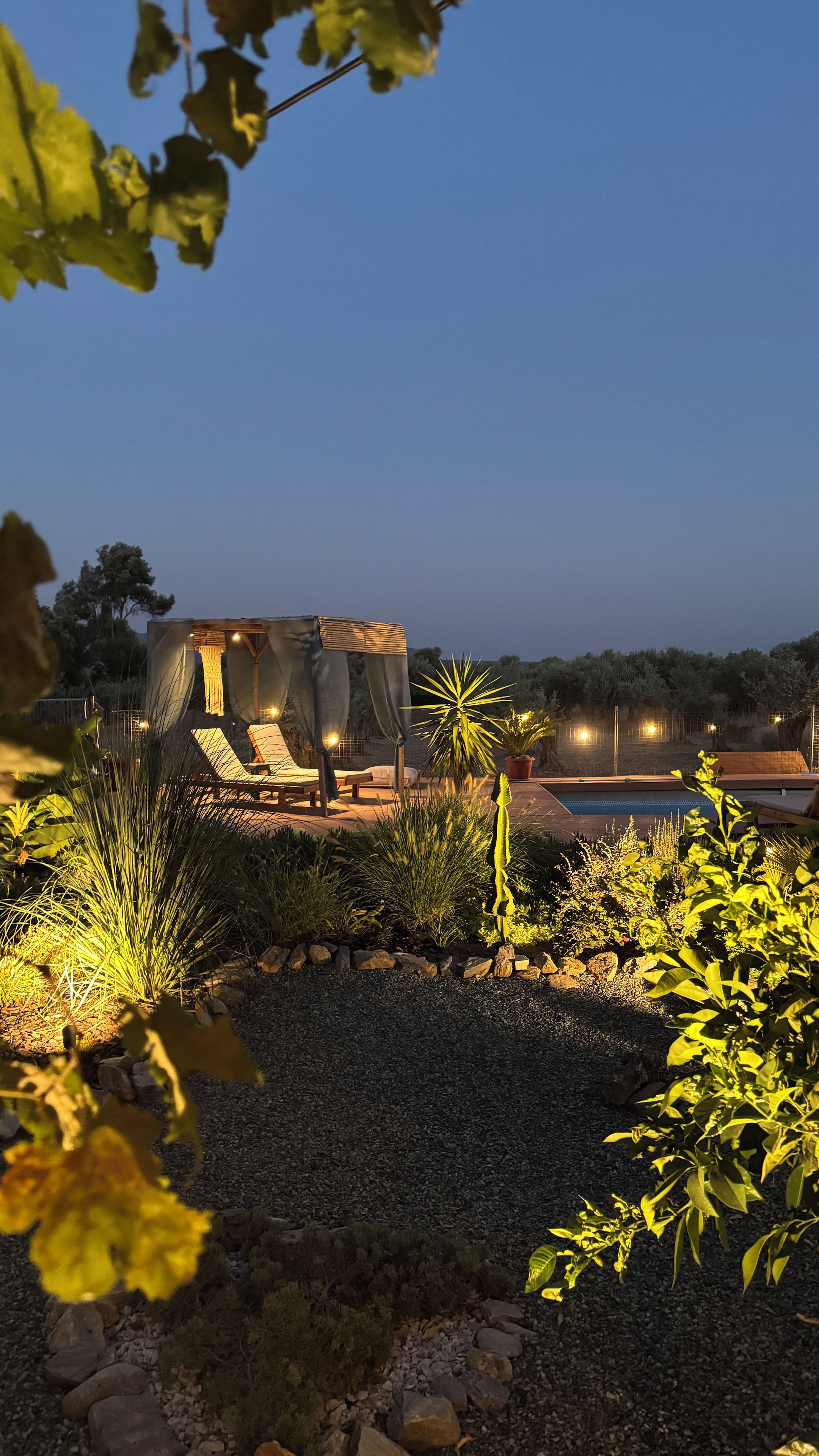 A garden with a pool, lounge chairs, and a pergola.