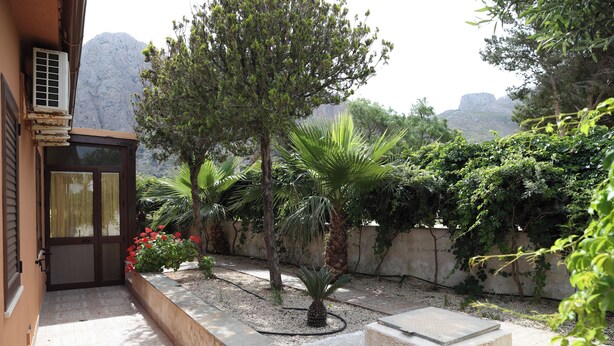 A courtyard with a palm tree, a small garden bed with red flowers, and a stone bench. - Villa I 2 Pini (San Vito Lo Capo)