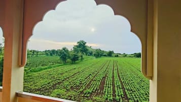 Studio Suite Cao cấp, ban công, quang cảnh vườn | Truy cập Internet không dây miễn phí