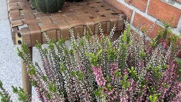 Details aan de buitenkant