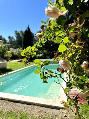 Pool - Les Lauriers Roses, air-conditioned villa with garden and swimming pool. (L'Isle-sur-la-Sorgue)