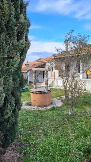 A courtyard with a stone well, a large evergreen tree, and a building with a tiled roof.