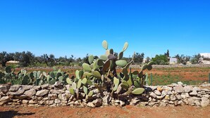 A cactus garden with a stone wall and a clear blue sky. - Villetta Certosina 2 (Racale)