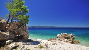Un paysage côtier rocheux, avec une eau d’un bleu limpide et un pin.