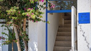 Un escalier menant à l’entrée d’un appartement, dont le cadre de la porte est bleu et qui porte une enseigne indiquant qu’il s’agit d’un appartement.