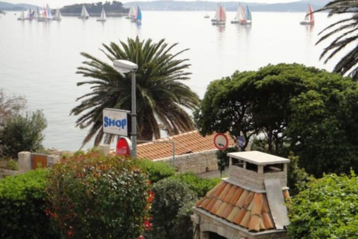 A coastal view with sailboats on the water, a palm tree, and a sign that reads "Shop".