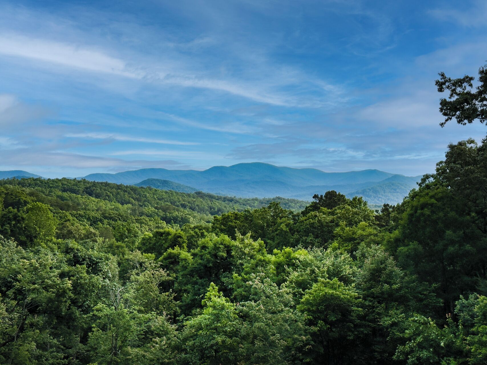 A lush green landscape with dense forest and distant mountains under a clear sky.