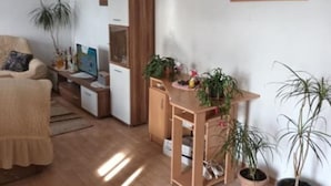 A cozy living room with a sofa, a wooden cabinet, a small table with plants, and a painting on the wall. - Spacious and Cozy Apartments Dugi Rat (Dugi Rat)