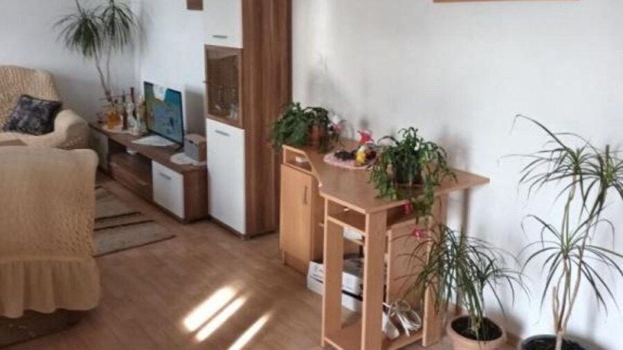 Spacious and Cozy Apartments Dugi Rat