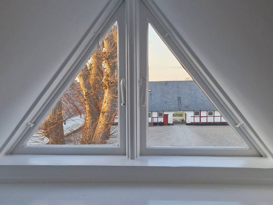 A triangular skylight window with a view of a building and bare trees.