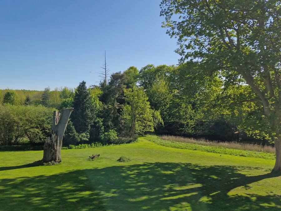 A grassy park with trees and a clear sky.