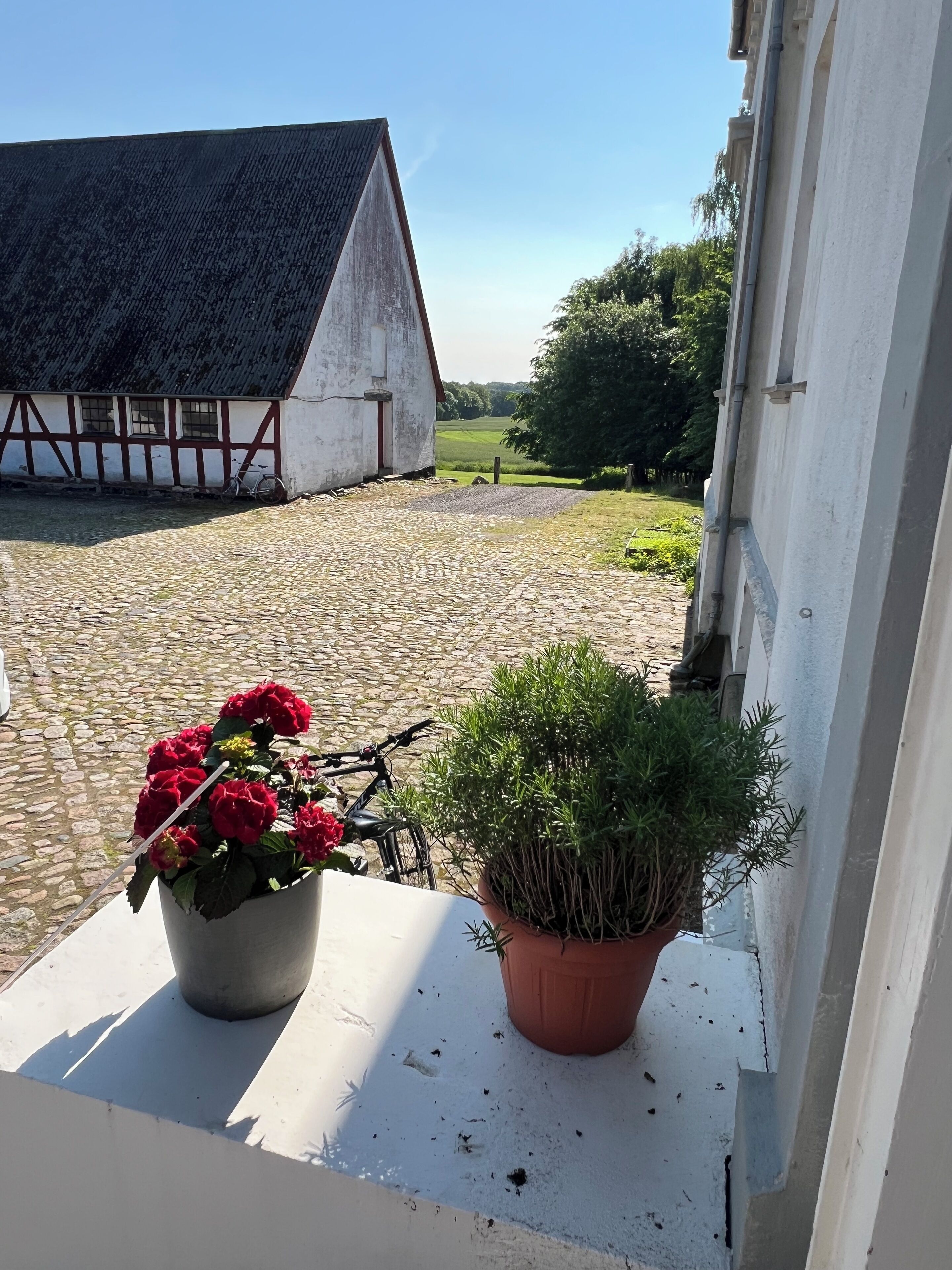 A view from a balcony with a cobblestone ground, a bicycle, and potted plants.