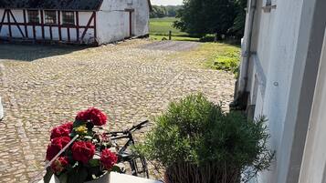 A view from a balcony with a cobblestone ground, a bicycle, and potted plants.