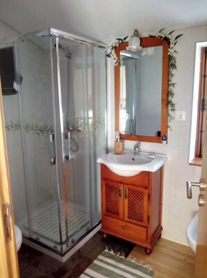 Hair dryer, towels, soap, shampoo