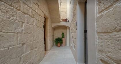 Finely renovated typical house with swimming pool sauna and spa in prestigious area