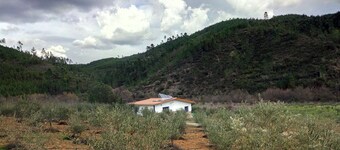 Refúgio do Raposo - CASA da Ribeira (AGROTURISM)