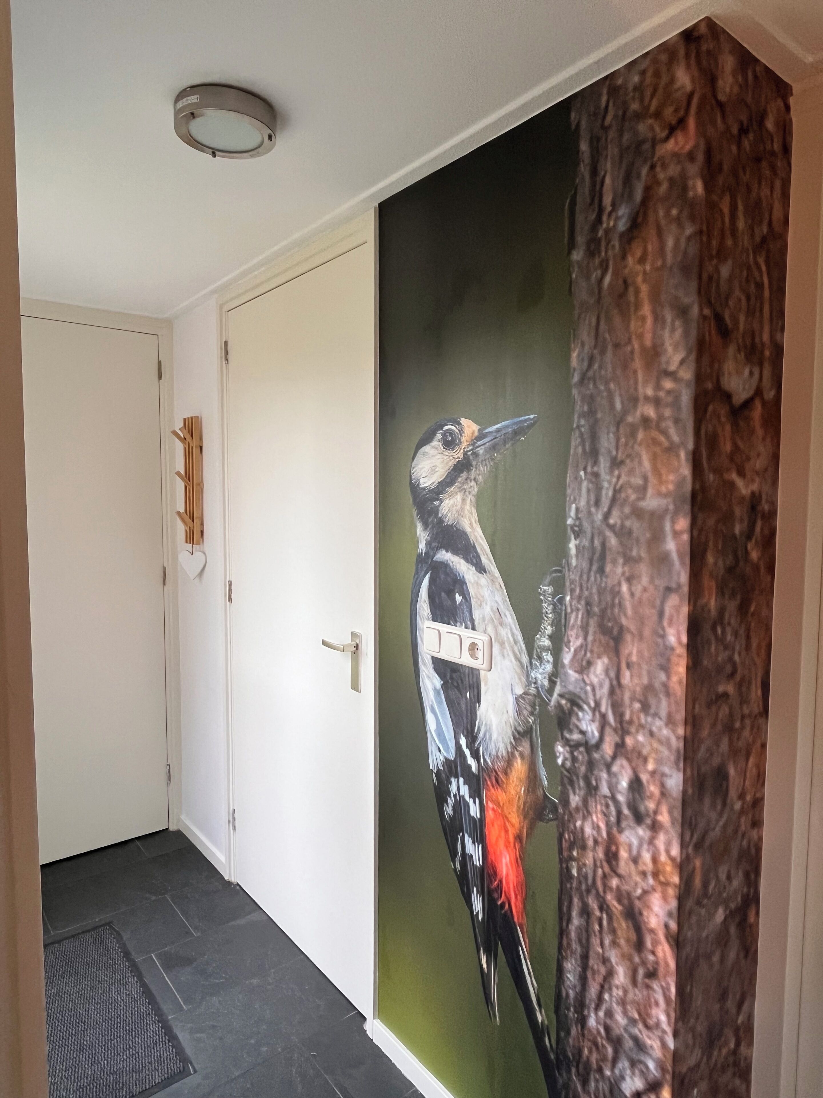 A hallway with a white door, a coat rack, and a wall with a bird mural.