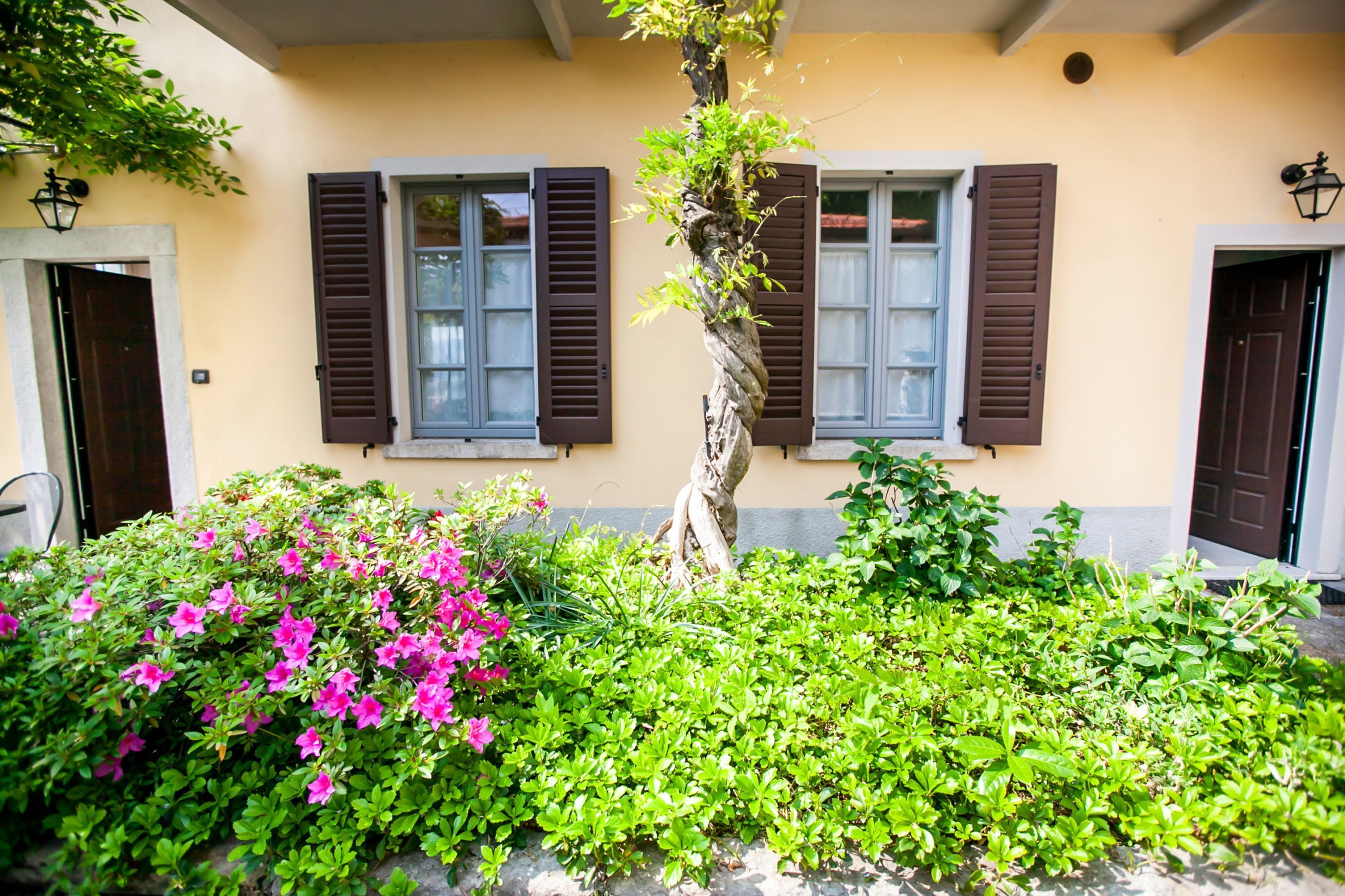 A building with two windows and shutters, surrounded by lush greenery and flowering plants.