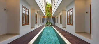 Cove Vin Stay Petanu