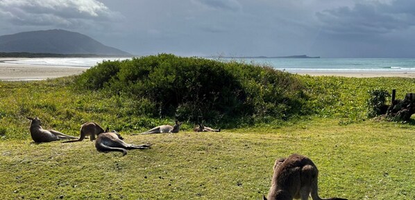 Beach nearby