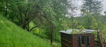 Enjoyable 2-bedroom cottage in Górzno