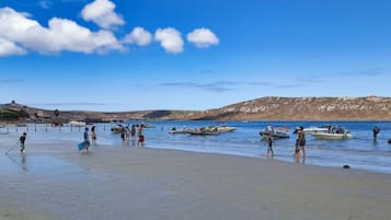 在海灘附近、白沙