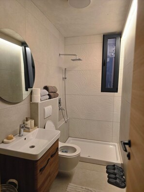 Features a large mirror, standalone toilet, and walk-in shower.