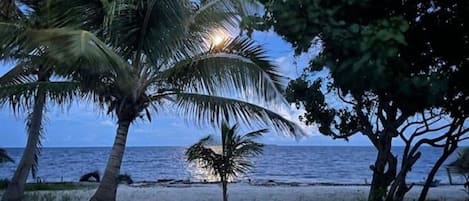 海滩
