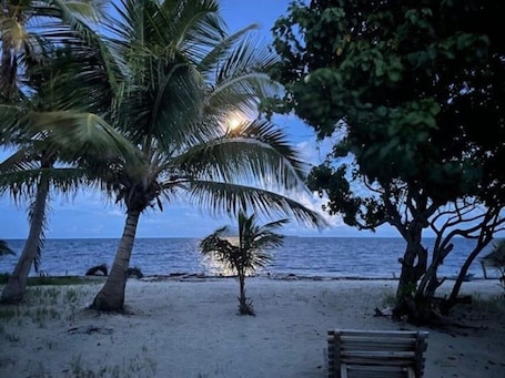 Beach. Castaway Blue Hole Long Caye, Belize