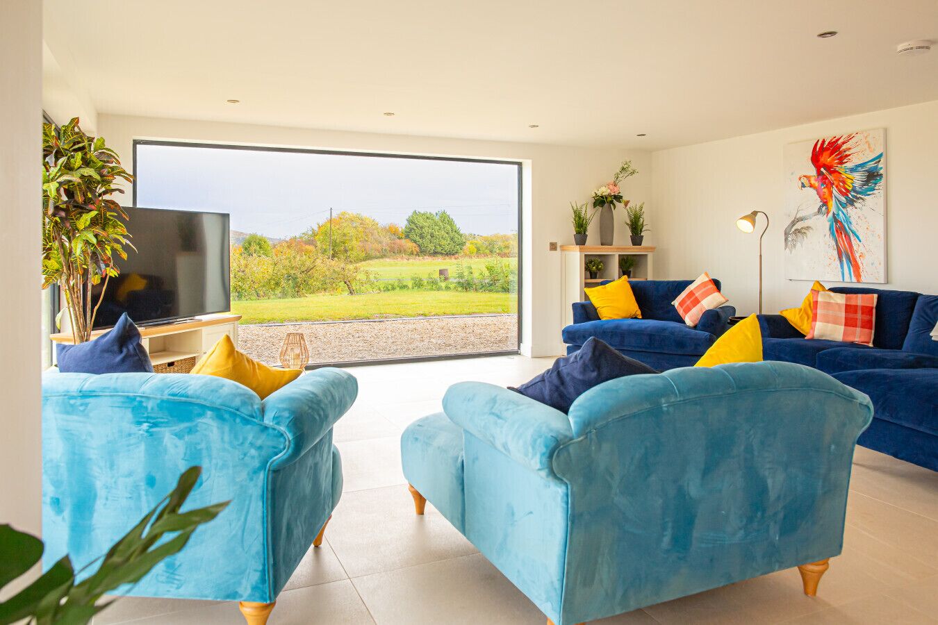 Smart TV 