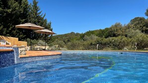 A clear blue swimming pool with tiled edges, surrounded by trees and a wooden deck with umbrellas. - Gîte Mûrier (Suze-la-Rousse)