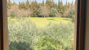 A window view of a garden with trees and shrubs. - Gîte Mûrier (Suze-la-Rousse)