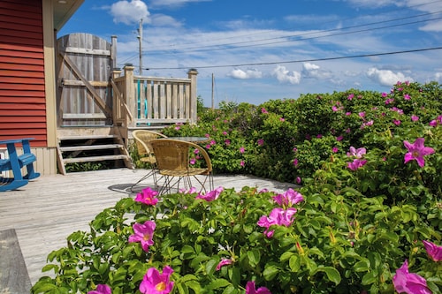 Twillingate Little Suite w/ Ocean & Garden View