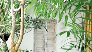 A garden with a tree, a white wall, and a wooden door. - Bali Invest Living (Tumbak Bayuh)