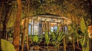 Eine glaskuppelartige Struktur, umgeben von dichtem Wald, vermutlich ein Rückzugsort oder eine Lodge.