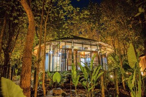 The Jungle Room | Terrace/patio