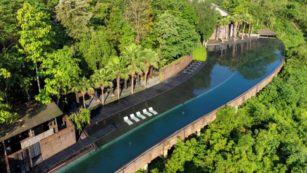 Eine Vogelperspektive eines langen, schmalen Schwimmbeckens mit einer Holzterrasse und Liegestühlen, umgeben von dichtem Grün.