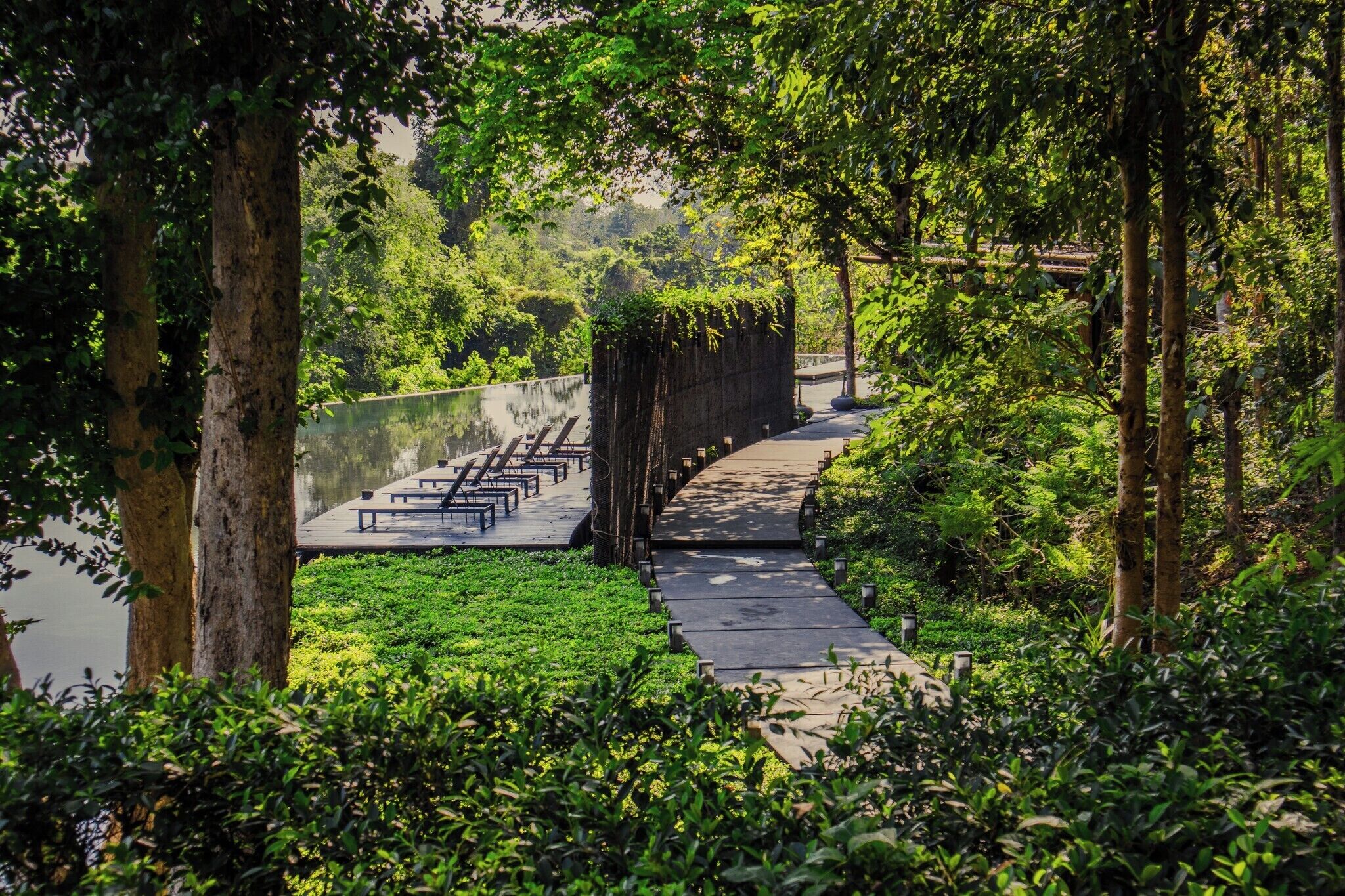 A pathway lined with benches leading to a body of water, surrounded by lush greenery and trees.