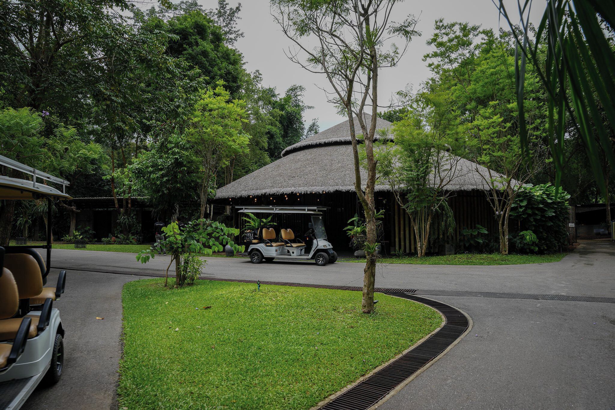 A golf cart parked near a thatched-roof building surrounded by lush greenery.