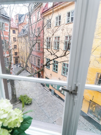 A view through a window of a cobblestone street with buildings, a tree, and a plant.